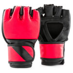 Mma Glove